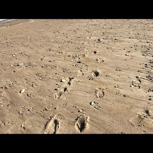 Meet your Posher, Suzanne